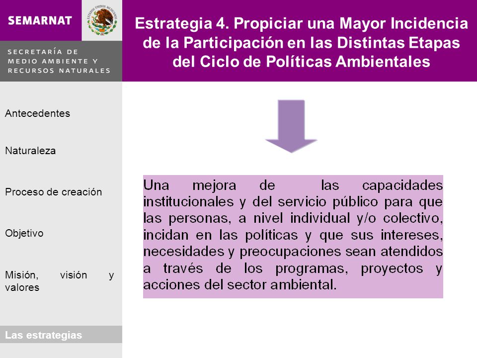 Estrategia 4. Propiciar una Mayor Incidencia de la Participación en las Distintas Etapas del Ciclo de Políticas Ambientales