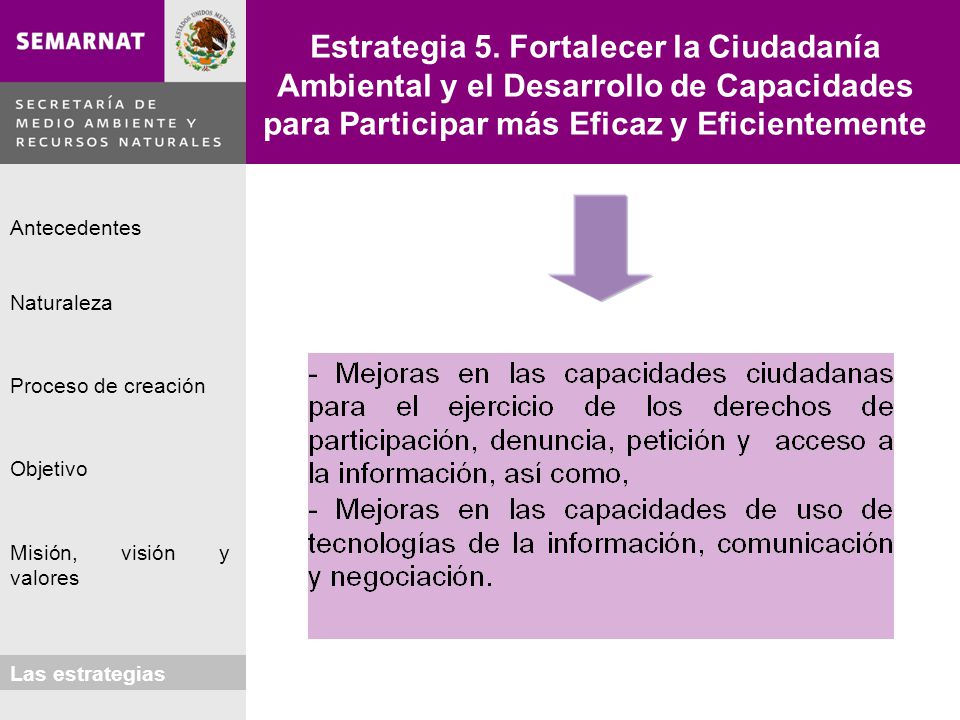 Estrategia 5. Fortalecer la Ciudadanía Ambiental y el Desarrollo de Capacidades para Participar más Eficaz y Eficientemente