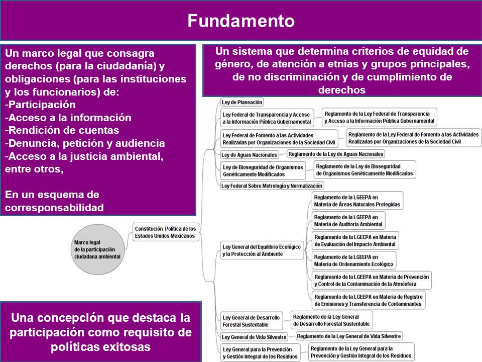 Fundamento Un marco legal que consagra derechos (para la ciudadanía) y obligaciones (para las instituciones y los funcionarios) de: