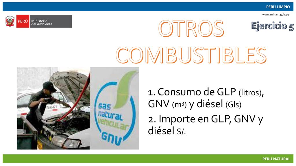 OTROS COMBUSTIBLES 1. Consumo de GLP (litros), GNV (m3) y diésel (Gls)
