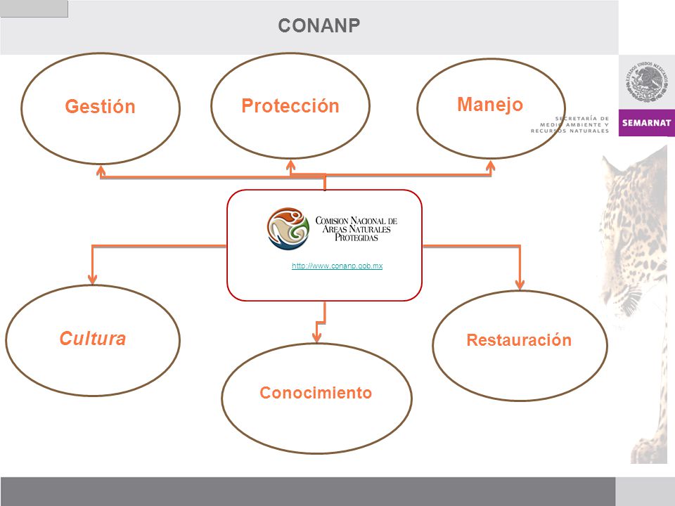 CONANP Gestión Protección Manejo Cultura