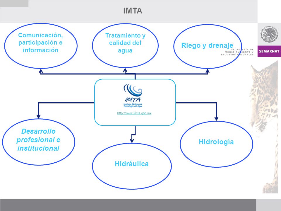 IMTA Riego y drenaje Desarrollo profesional e institucional Hidrología