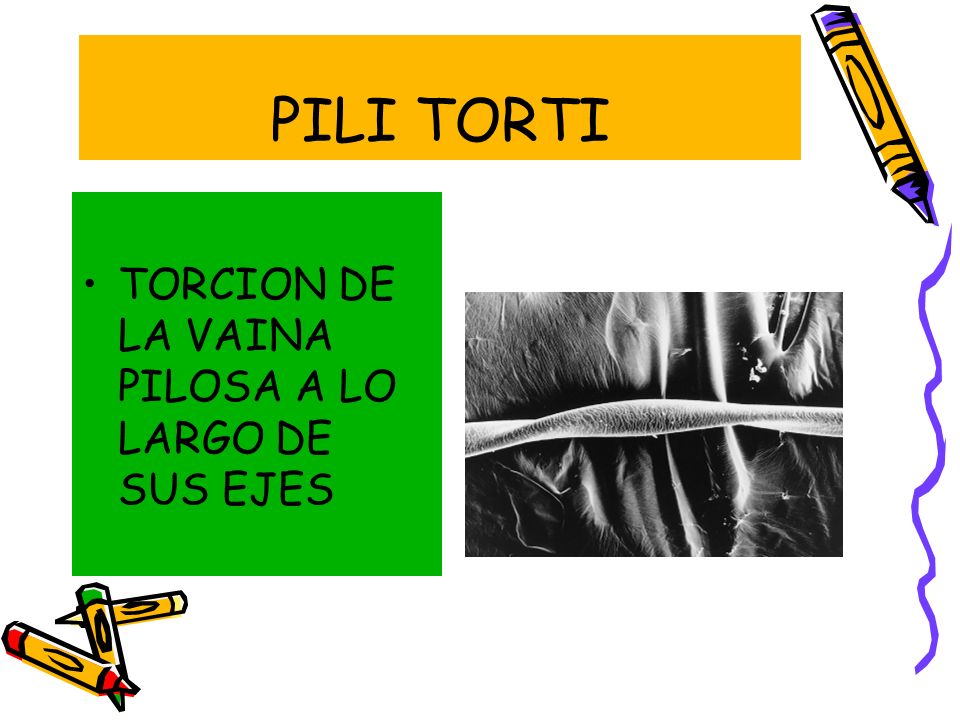 PILI TORTI TORCION DE LA VAINA PILOSA A LO LARGO DE SUS EJES