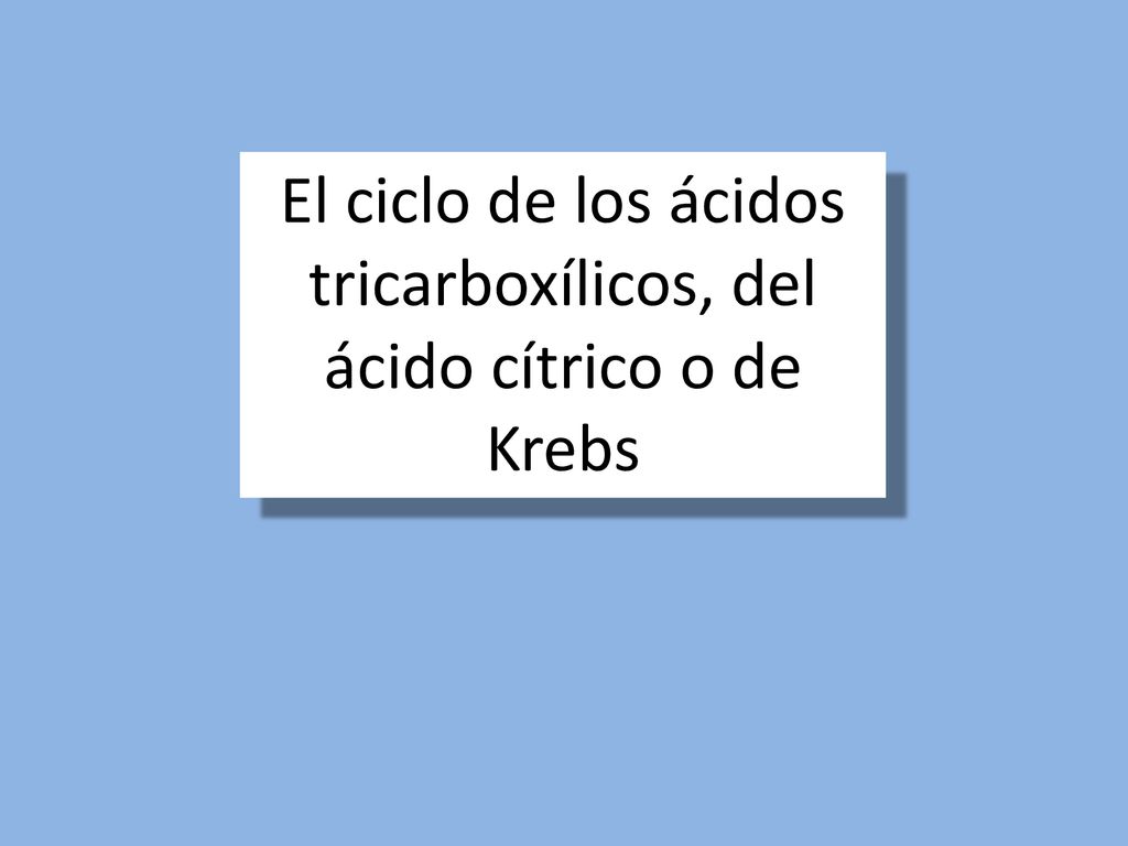 El ciclo de los ácidos tricarboxílicos, del ácido cítrico o de Krebs