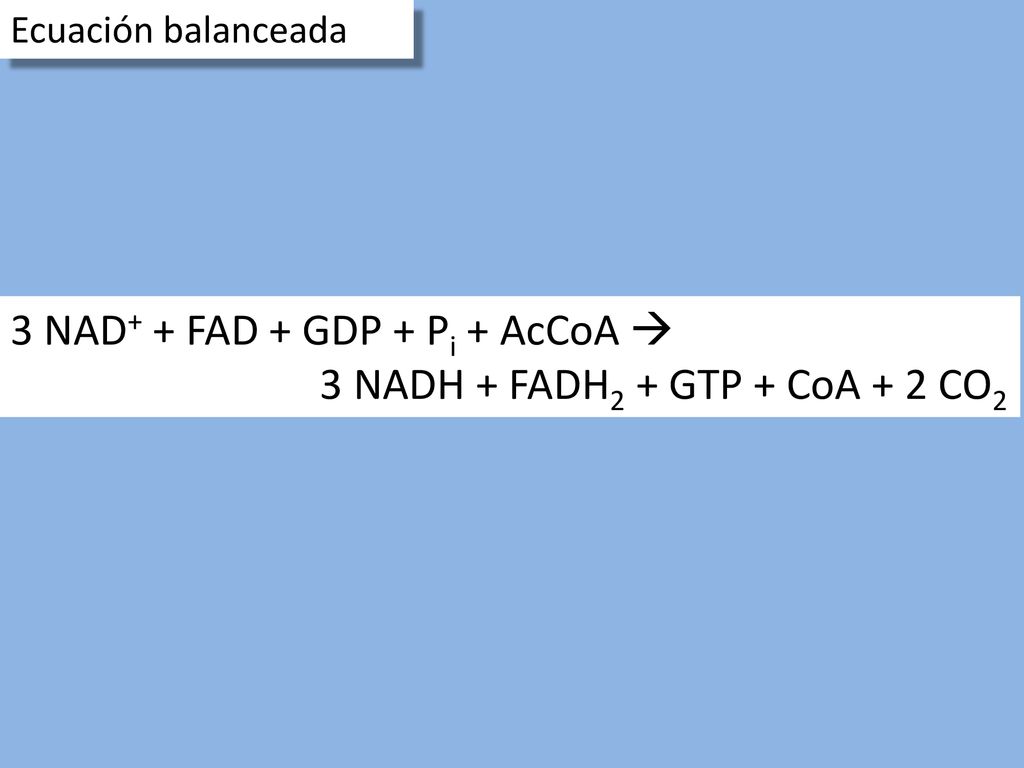 3 NAD+ + FAD + GDP + Pi + AcCoA  3 NADH + FADH2 + GTP + CoA + 2 CO2