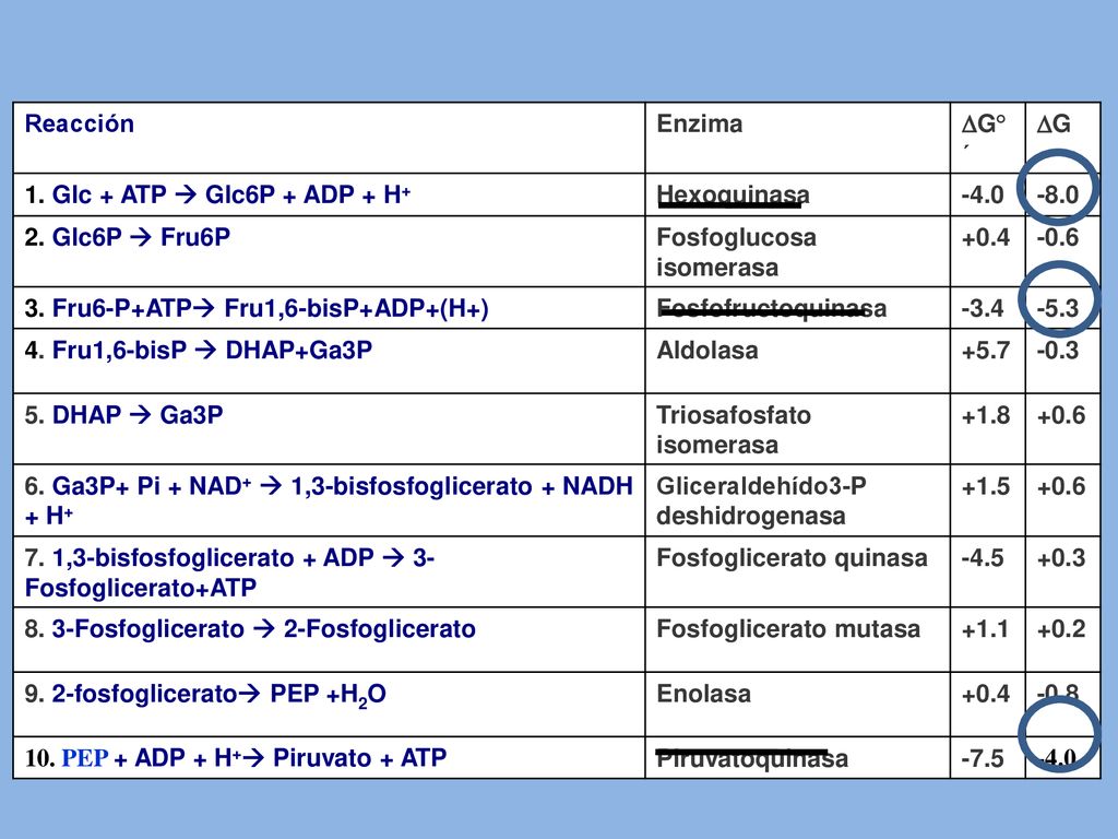 Reacción Enzima. DG°´ DG. 1. Glc + ATP  Glc6P + ADP + H+ Hexoquinasa Glc6P  Fru6P.
