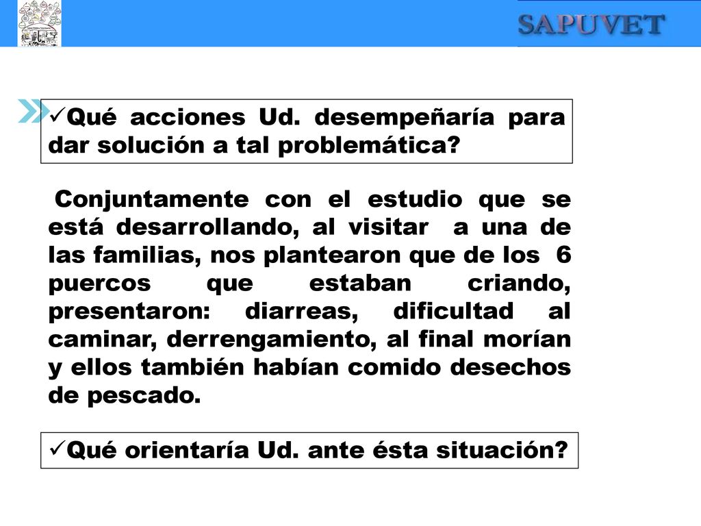 Qué acciones Ud. desempeñaría para dar solución a tal problemática
