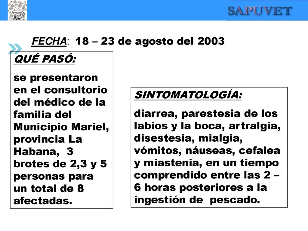 FECHA: 18 – 23 de agosto del 2003 QUÉ PASÓ:
