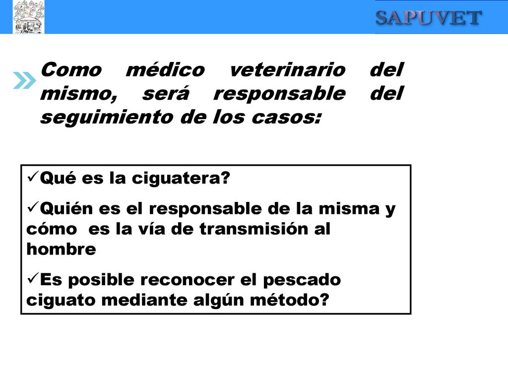 Como médico veterinario del mismo, será responsable del seguimiento de los casos: