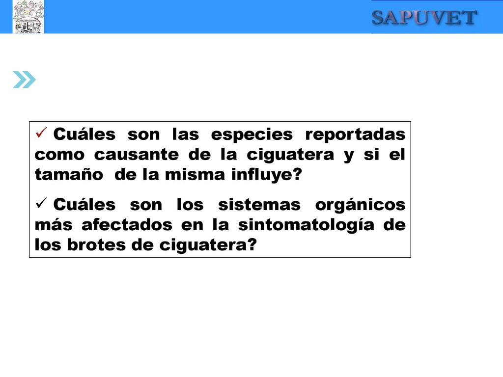 Cuáles son las especies reportadas como causante de la ciguatera y si el tamaño de la misma influye