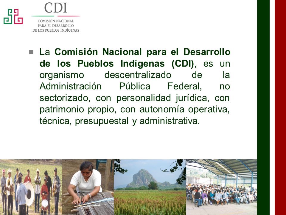 La Comisión Nacional para el Desarrollo de los Pueblos Indígenas (CDI), es un organismo descentralizado de la Administración Pública Federal, no sectorizado, con personalidad jurídica, con patrimonio propio, con autonomía operativa, técnica, presupuestal y administrativa.