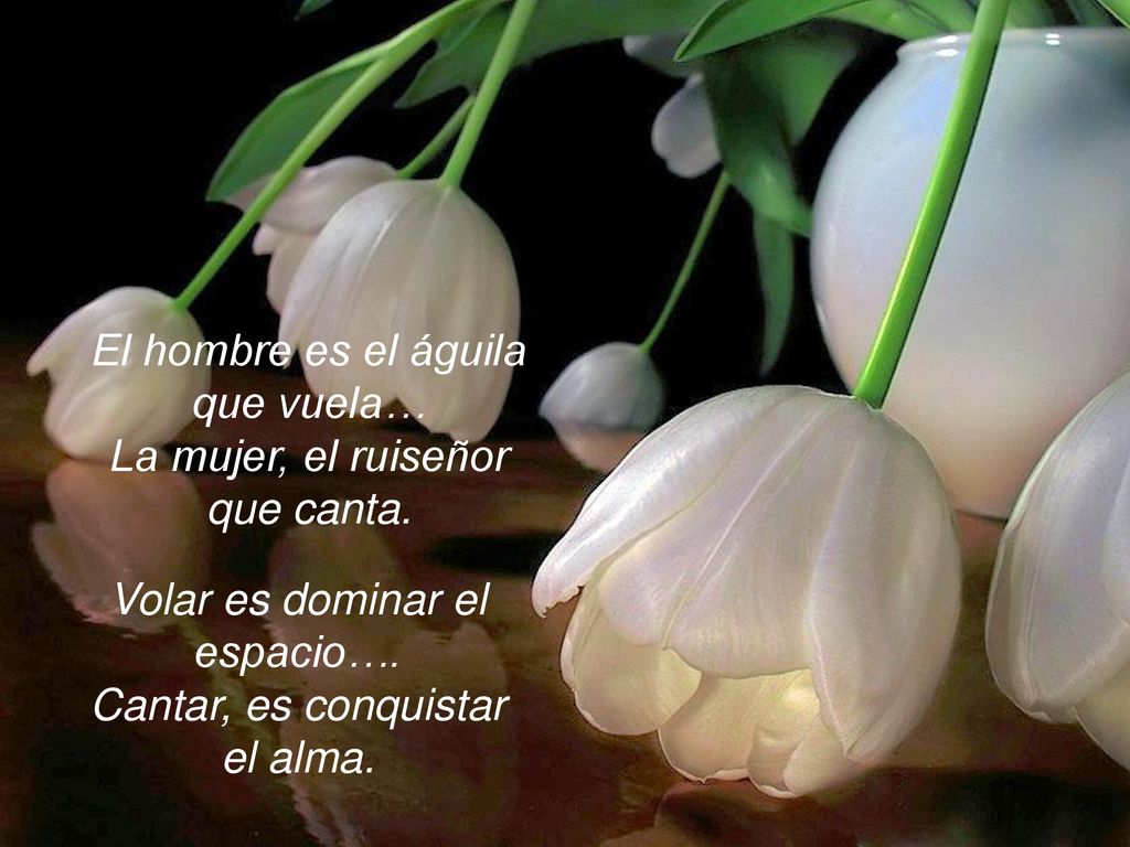 El hombre es el águila que vuela… La mujer, el ruiseñor que canta.
