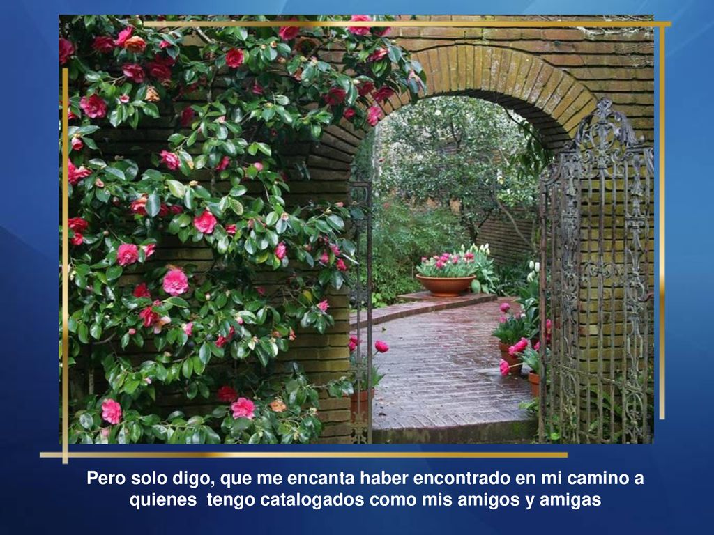 Pero solo digo, que me encanta haber encontrado en mi camino a quienes tengo catalogados como mis amigos y amigas