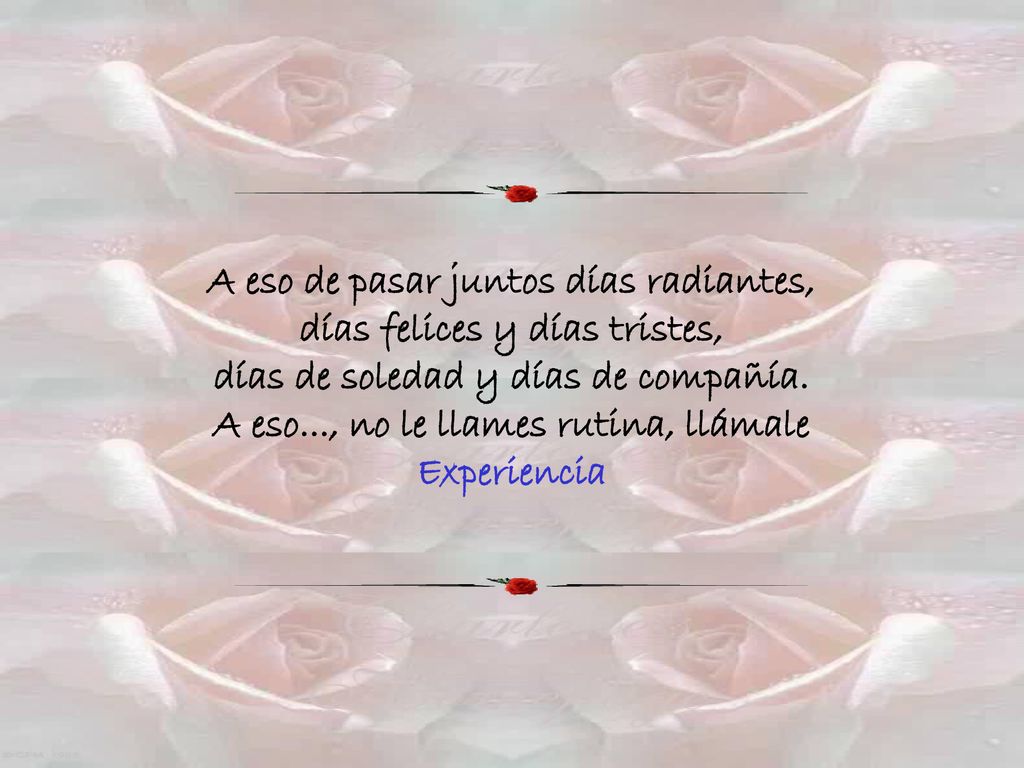 A eso de pasar juntos días radiantes, días felices y días tristes, días de soledad y días de compañía.