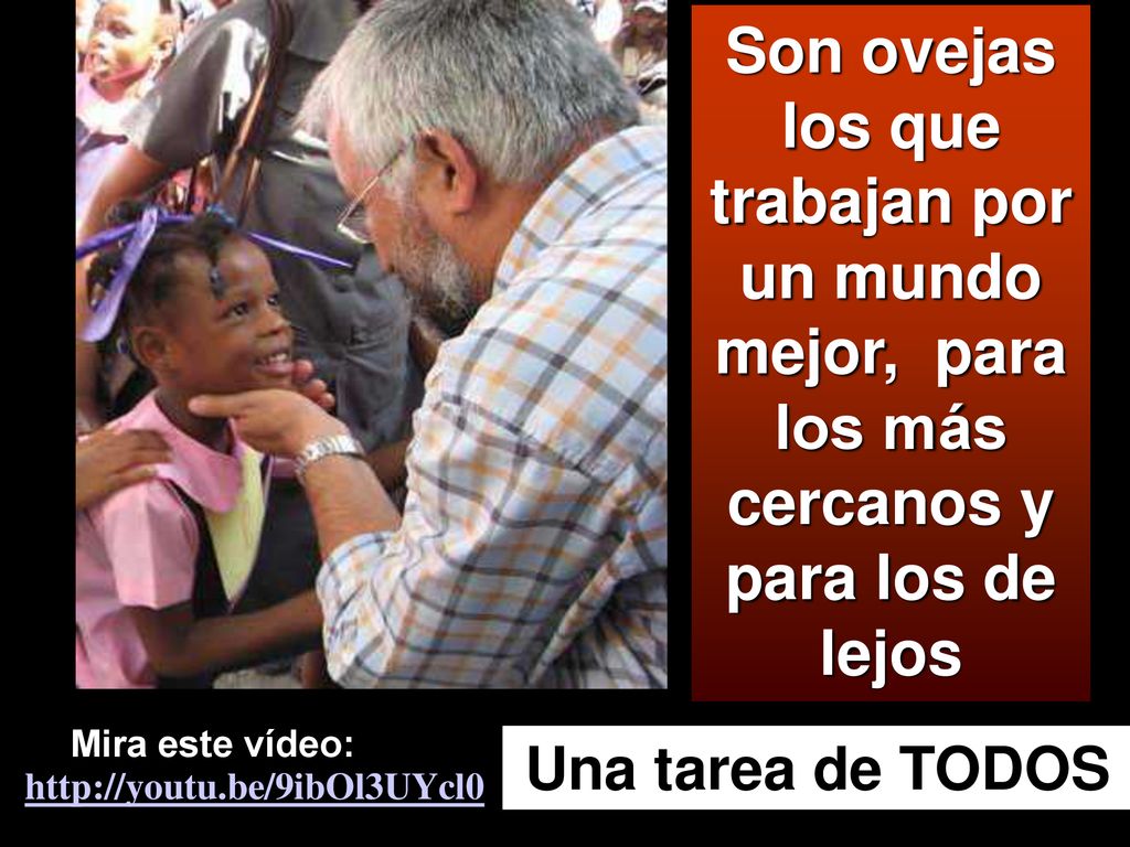 Son ovejas los que trabajan por un mundo mejor, para los más cercanos y para los de lejos
