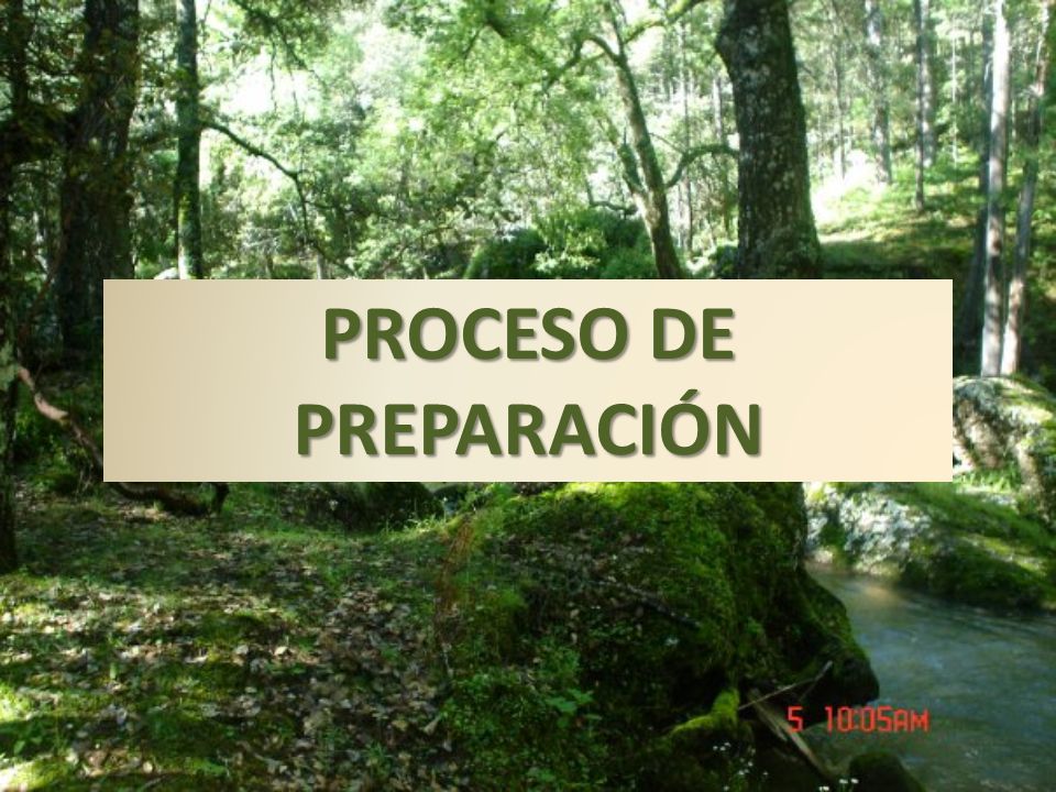 PROCESO DE PREPARACIÓN