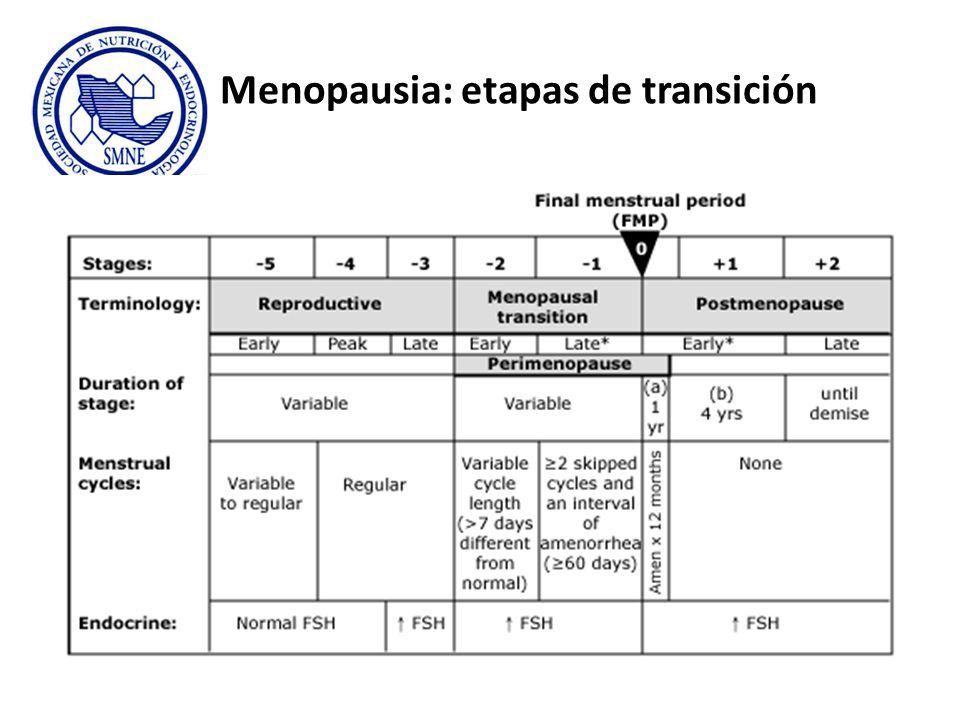 Menopausia: etapas de transición