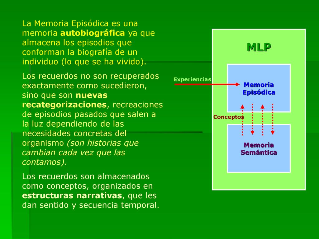 La Memoria Episódica es una memoria autobiográfica ya que almacena los episodios que conforman la biografía de un individuo (lo que se ha vivido).