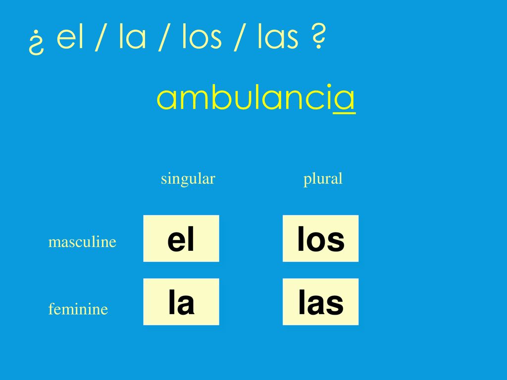 ¿ el / la / los / las ambulancia el los la las singular plural