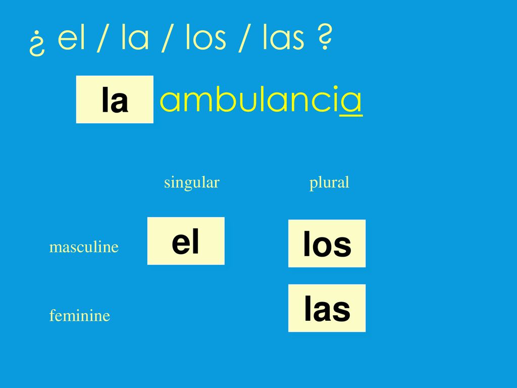 ¿ el / la / los / las ambulancia la el los las singular plural