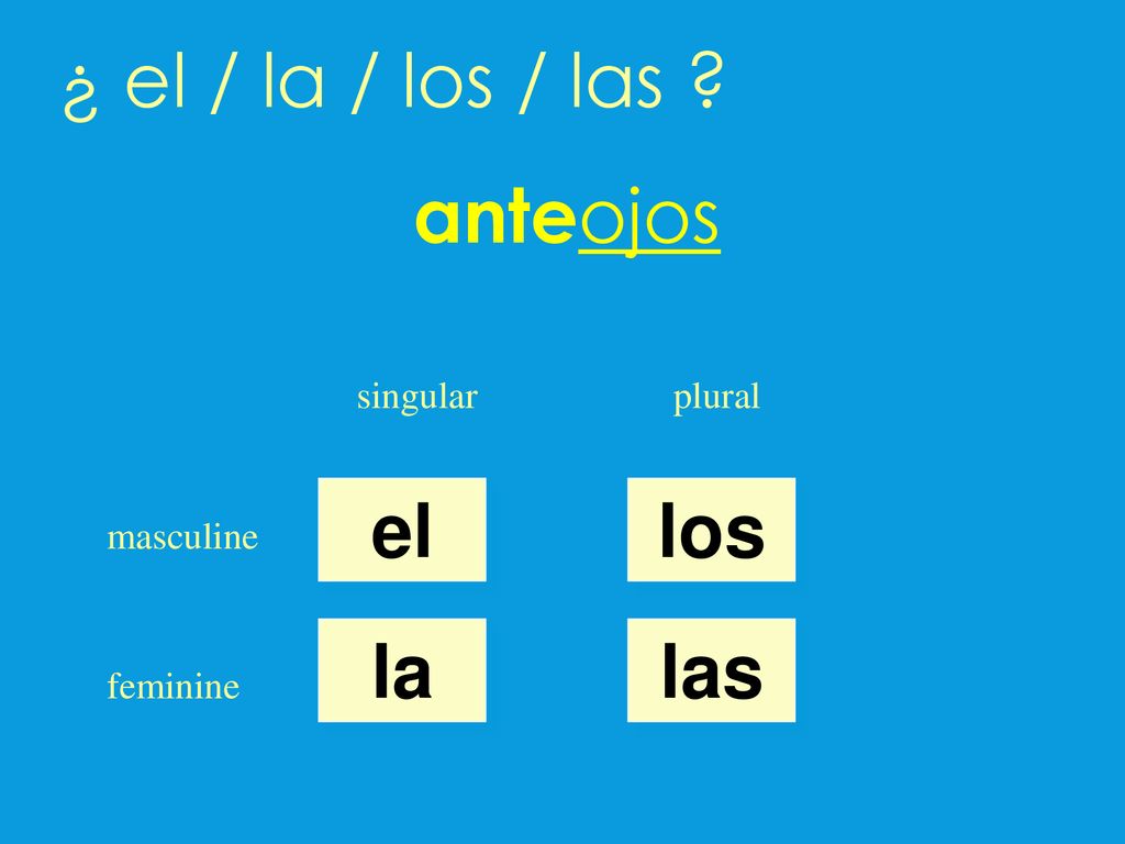 ¿ el / la / los / las anteojos el los la las singular plural