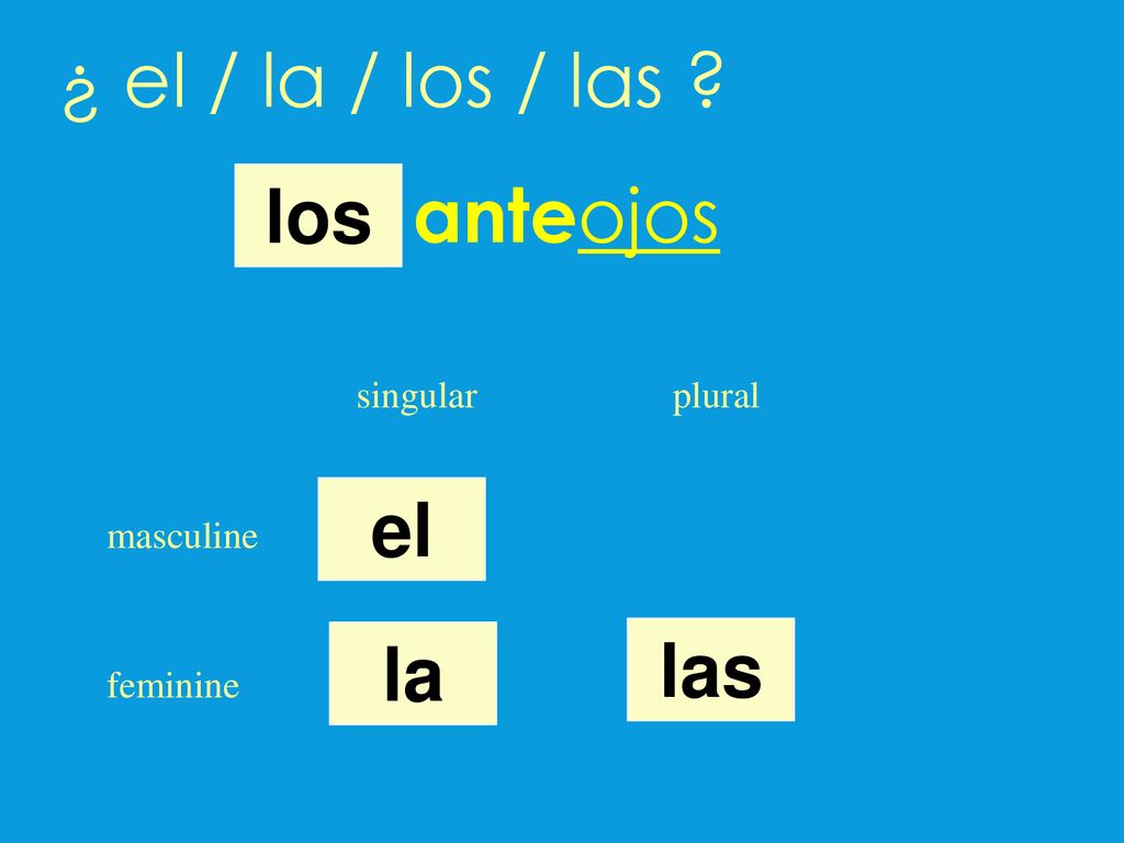 ¿ el / la / los / las anteojos los el las la singular plural
