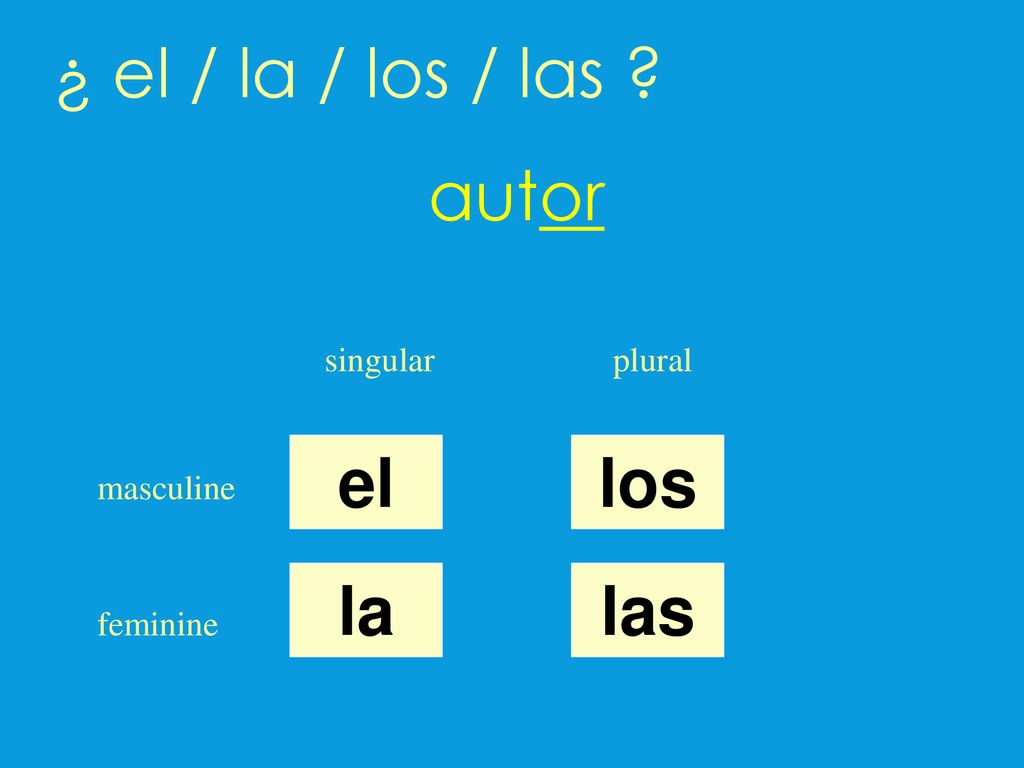 ¿ el / la / los / las autor el los la las singular plural masculine