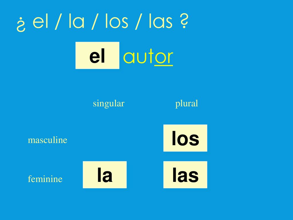 ¿ el / la / los / las autor el los la las singular plural masculine