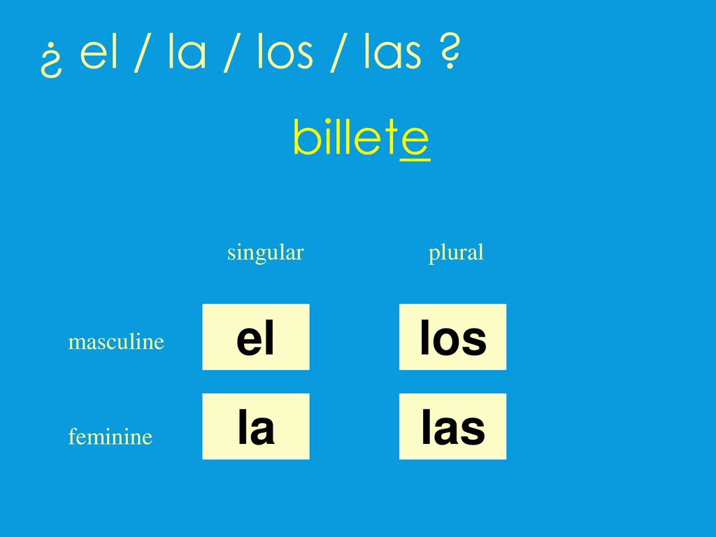 ¿ el / la / los / las billete el los la las singular plural