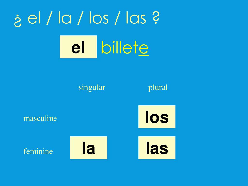 ¿ el / la / los / las billete el los la las singular plural