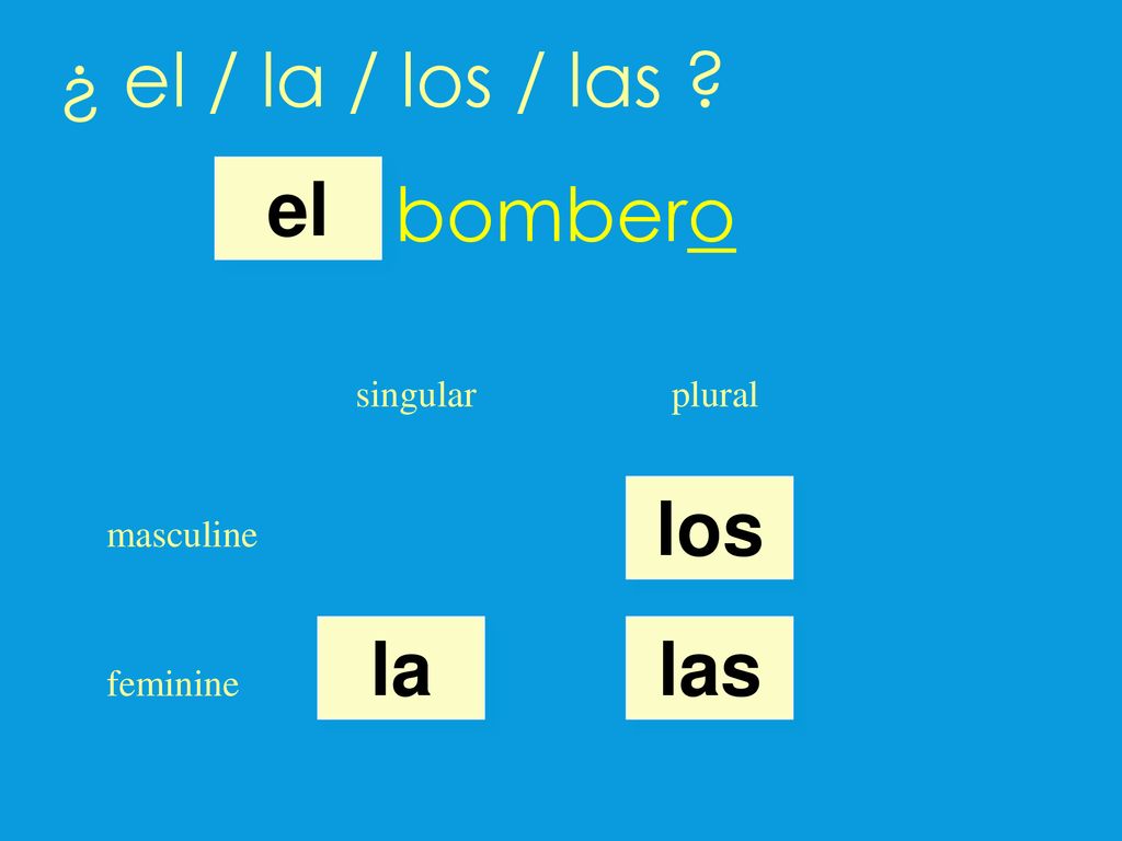 ¿ el / la / los / las bombero el los la las singular plural