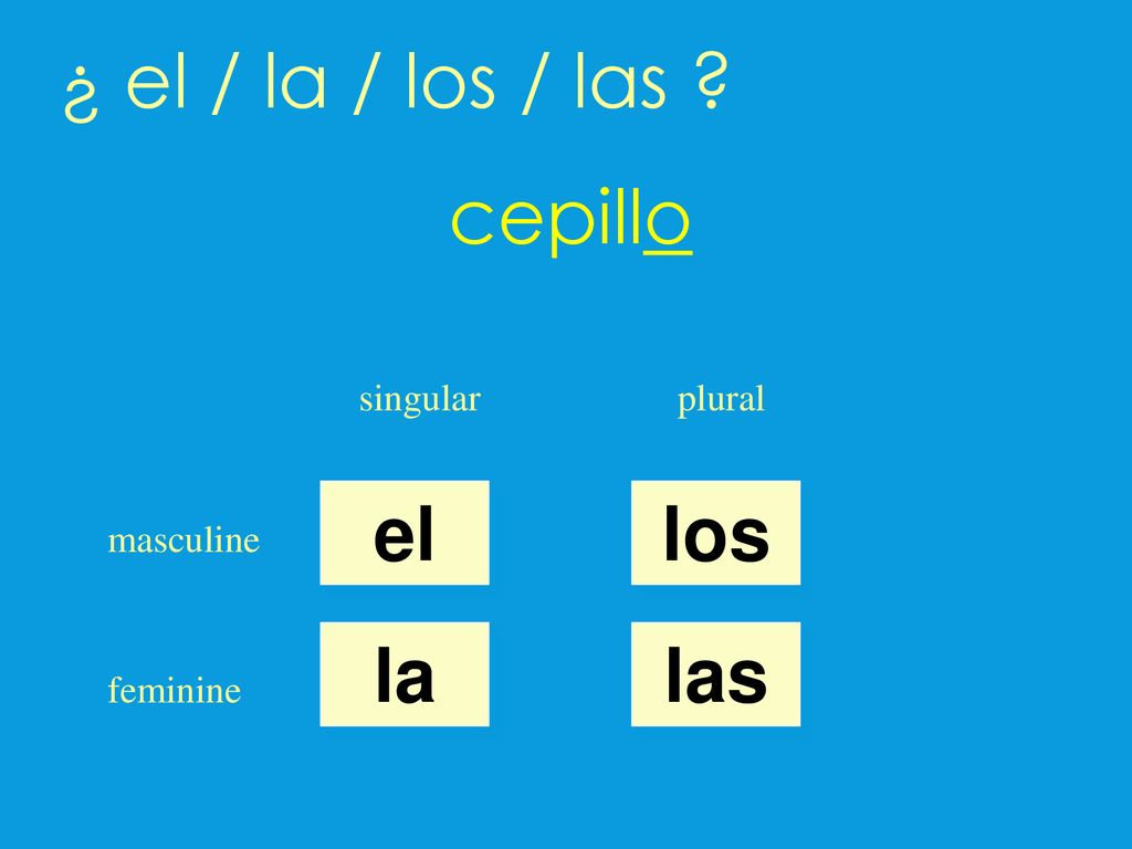 ¿ el / la / los / las cepillo el los la las singular plural