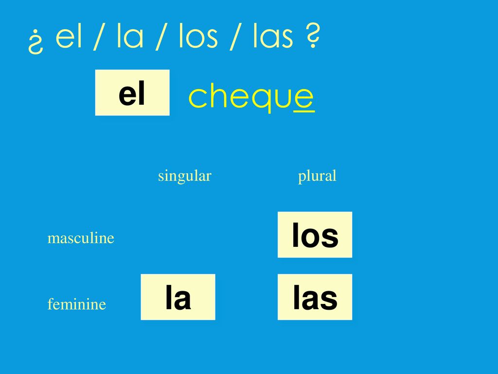 ¿ el / la / los / las cheque el los la las singular plural masculine