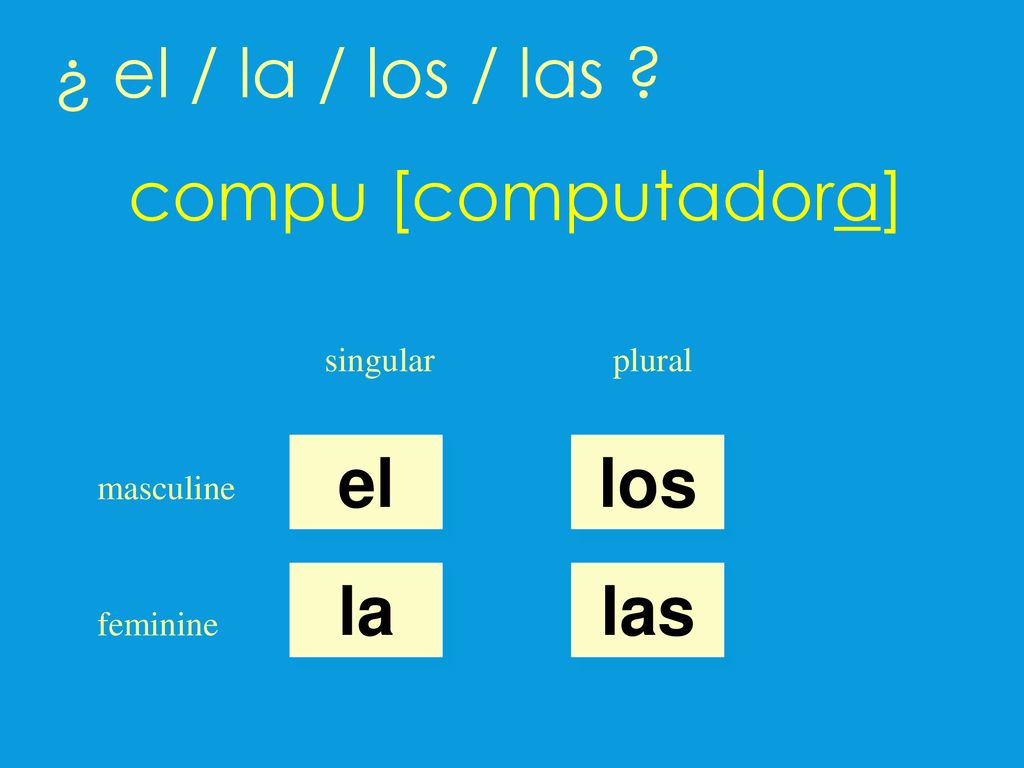 ¿ el / la / los / las compu [computadora] el los la las singular