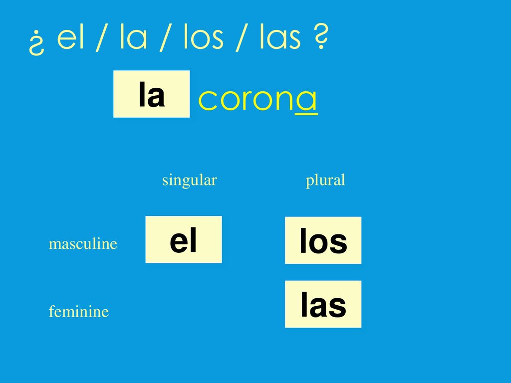 ¿ el / la / los / las corona la el los las singular plural masculine