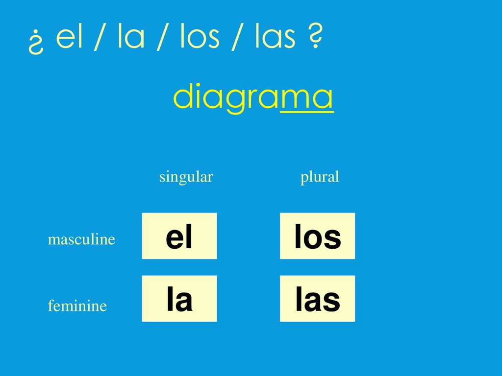 ¿ el / la / los / las diagrama el los la las singular plural