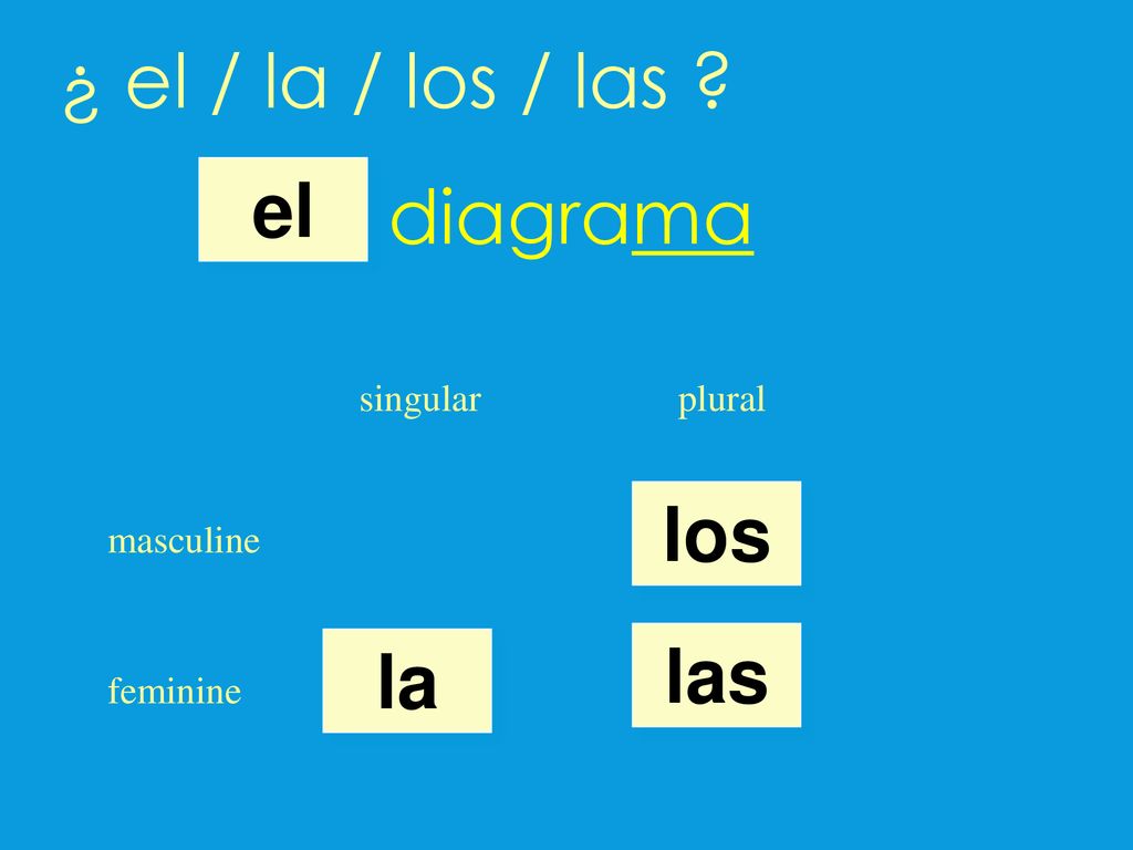 ¿ el / la / los / las diagrama el los las la singular plural