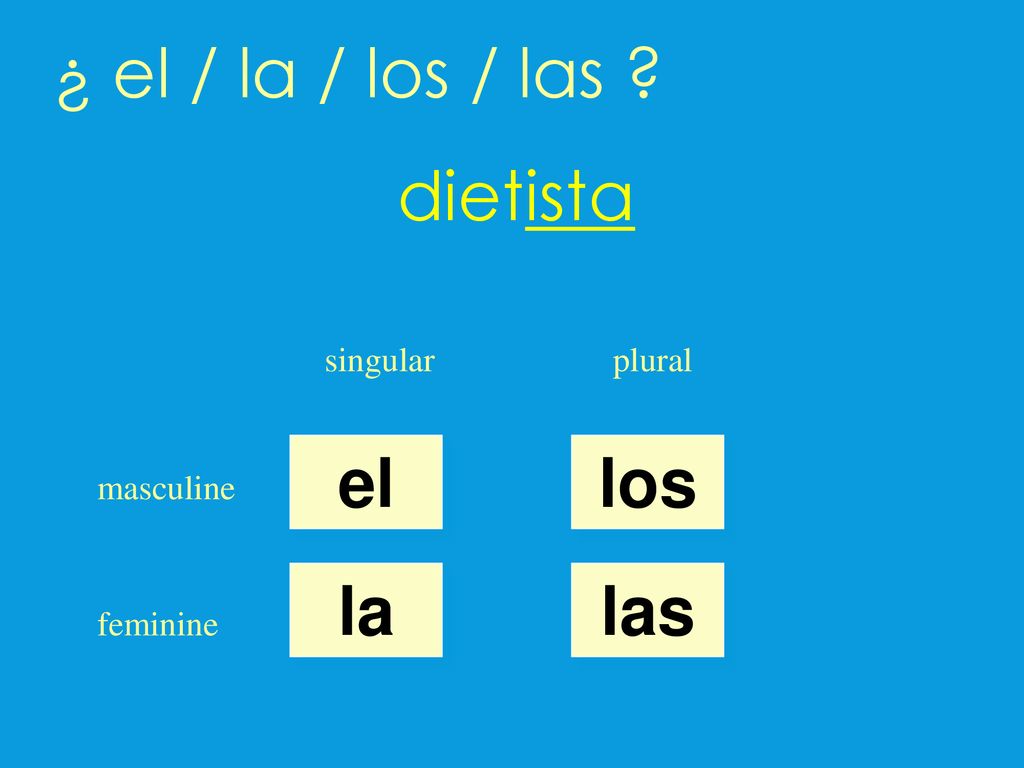 ¿ el / la / los / las dietista el los la las singular plural