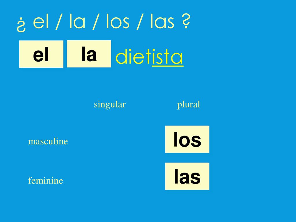 ¿ el / la / los / las dietista el la los las singular plural