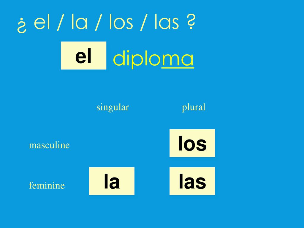 ¿ el / la / los / las diploma el los la las singular plural