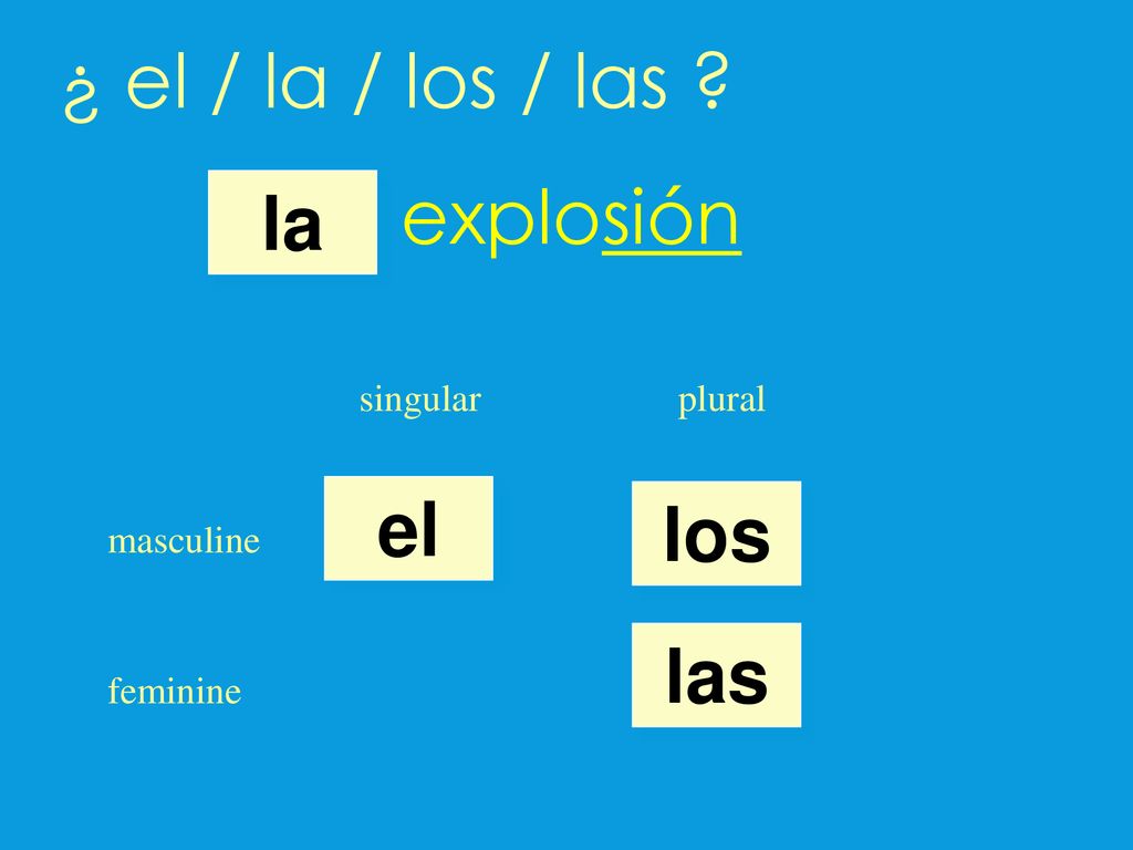 ¿ el / la / los / las explosión la el los las singular plural