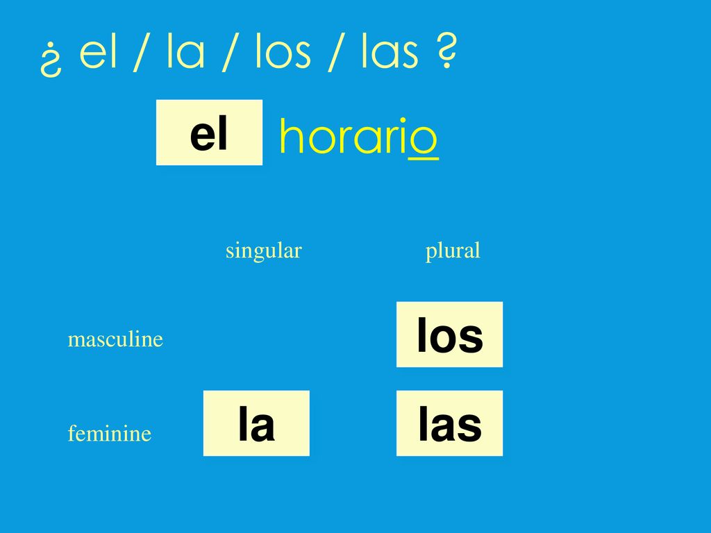 ¿ el / la / los / las horario el los la las singular plural
