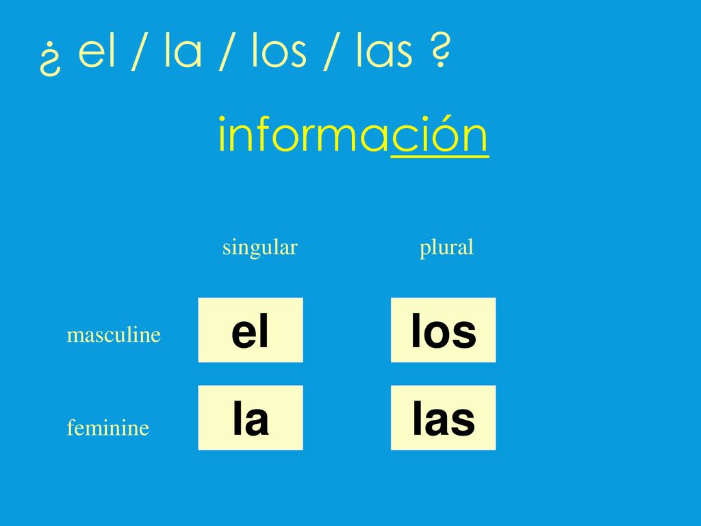 ¿ el / la / los / las información el los la las singular plural