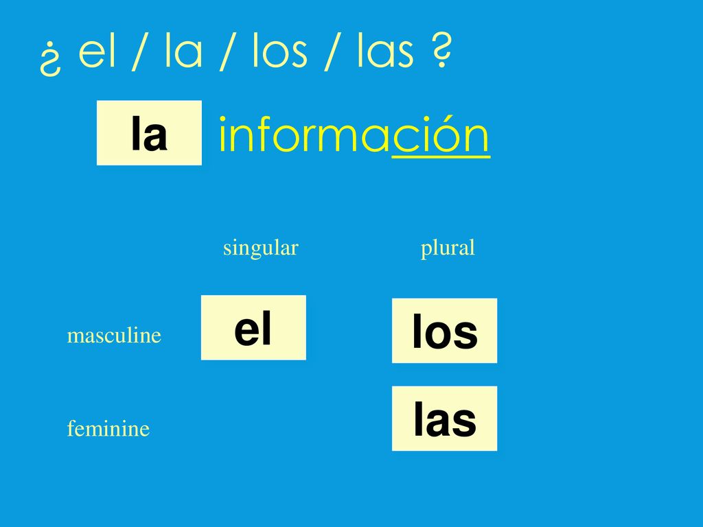 ¿ el / la / los / las información la el los las singular plural