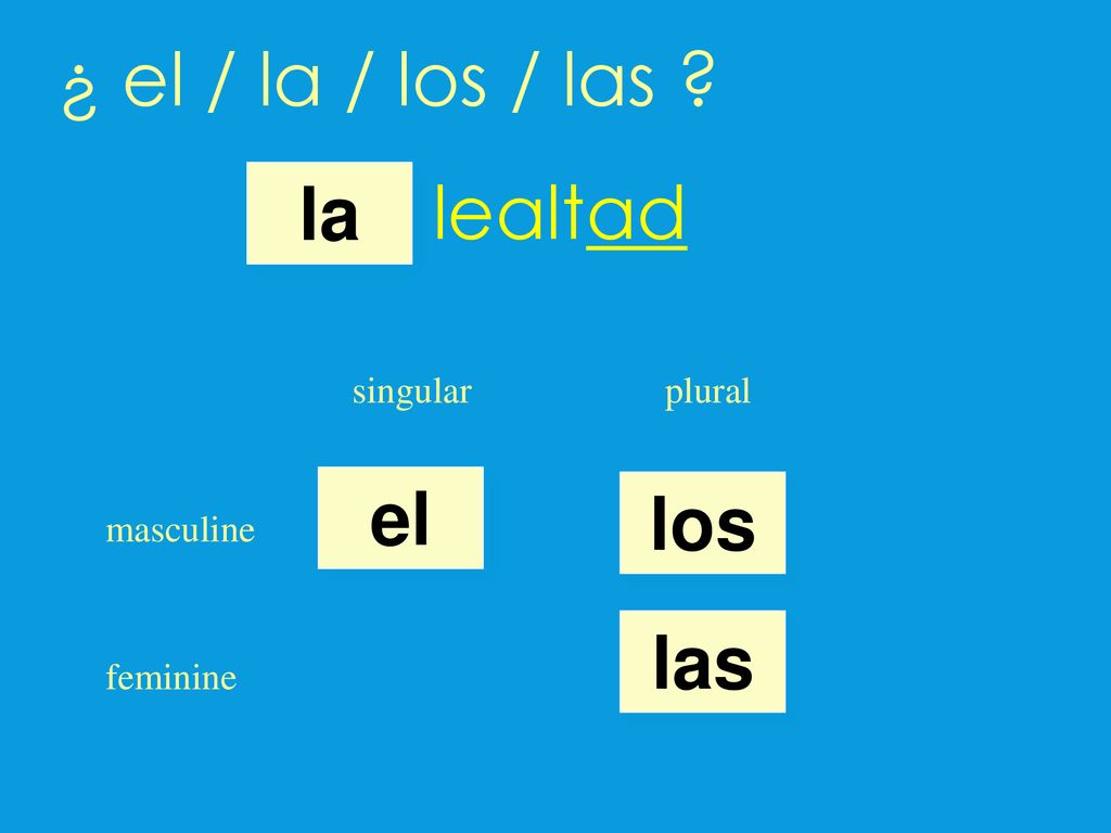¿ el / la / los / las lealtad la el los las singular plural