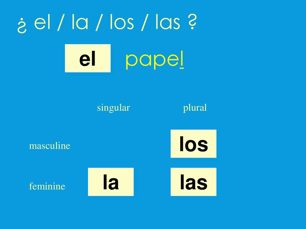 ¿ el / la / los / las papel el los la las singular plural masculine