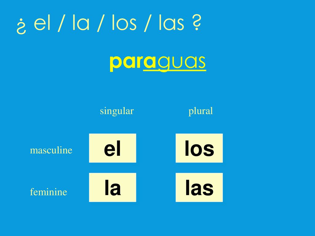 ¿ el / la / los / las paraguas el los la las singular plural