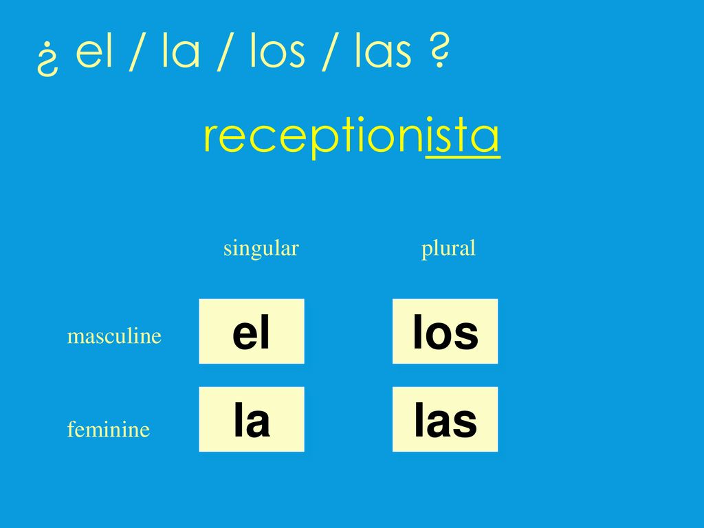 ¿ el / la / los / las receptionista el los la las singular plural