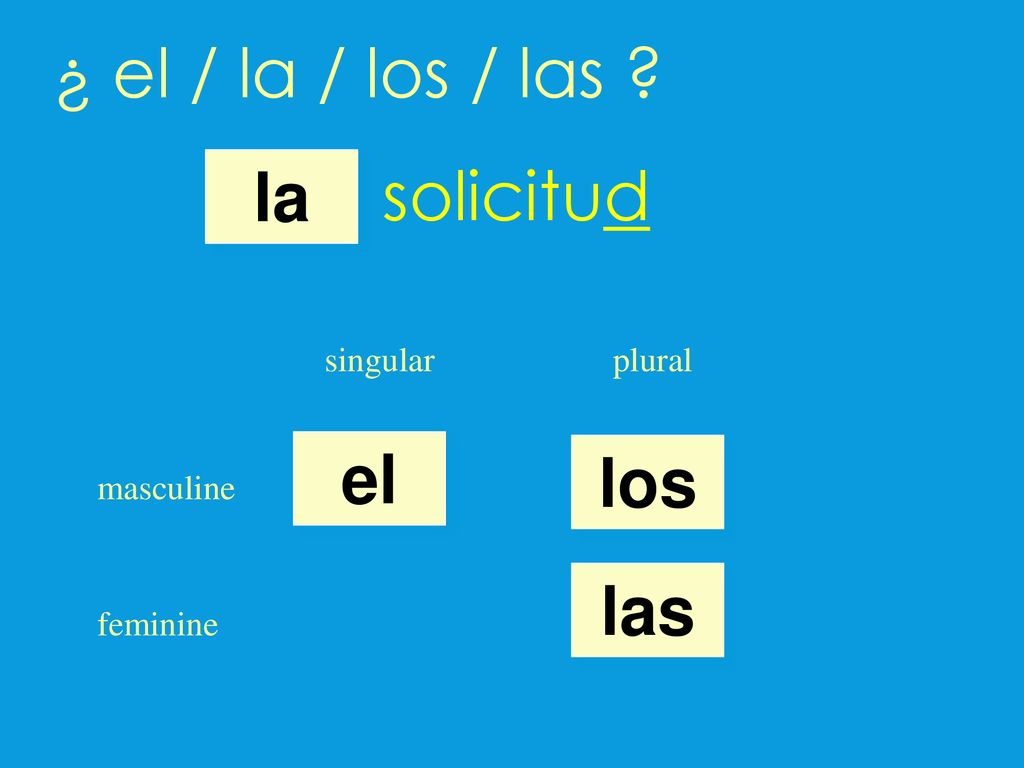 ¿ el / la / los / las solicitud la el los las singular plural