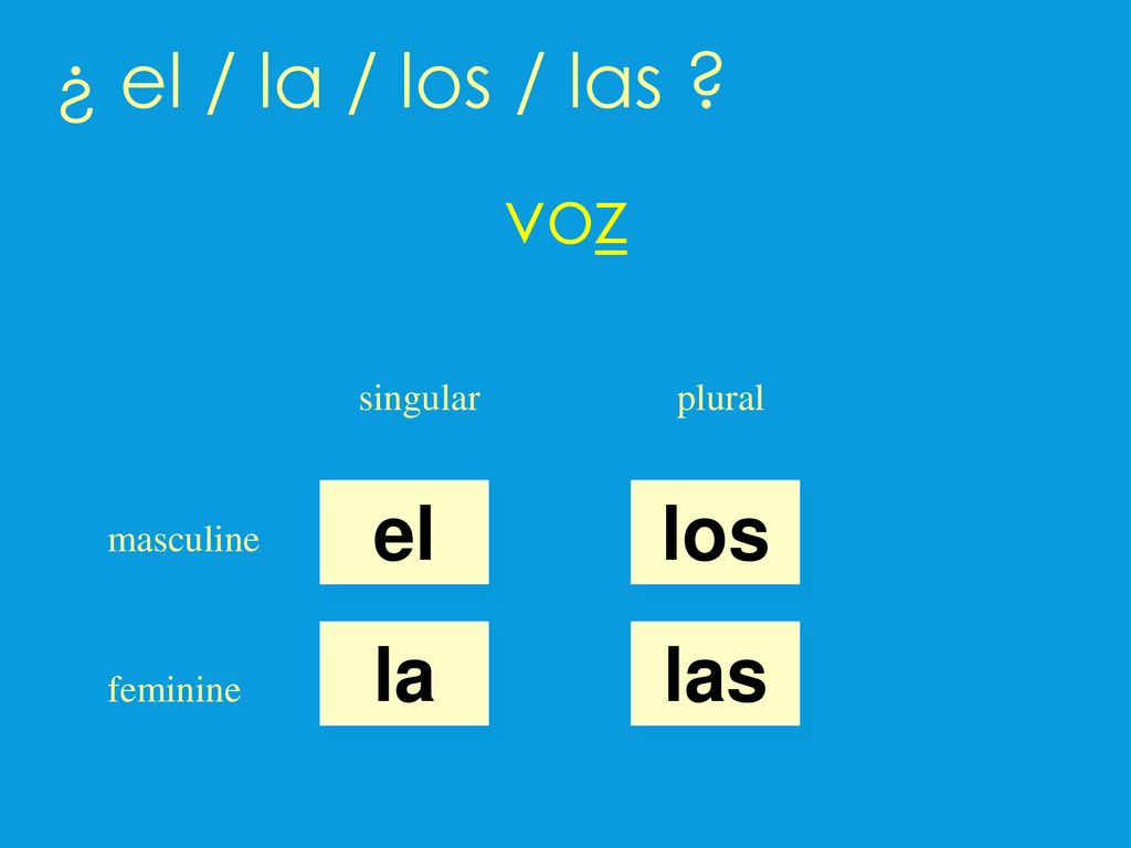 ¿ el / la / los / las voz el los la las singular plural masculine